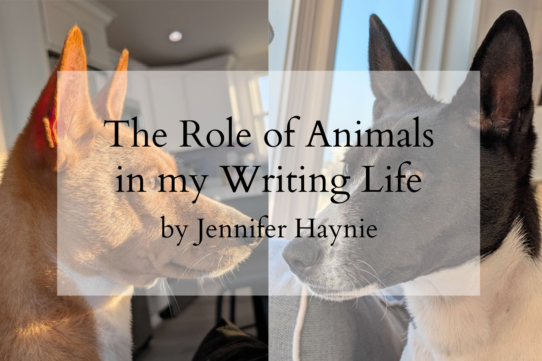 Pages of My Life JH