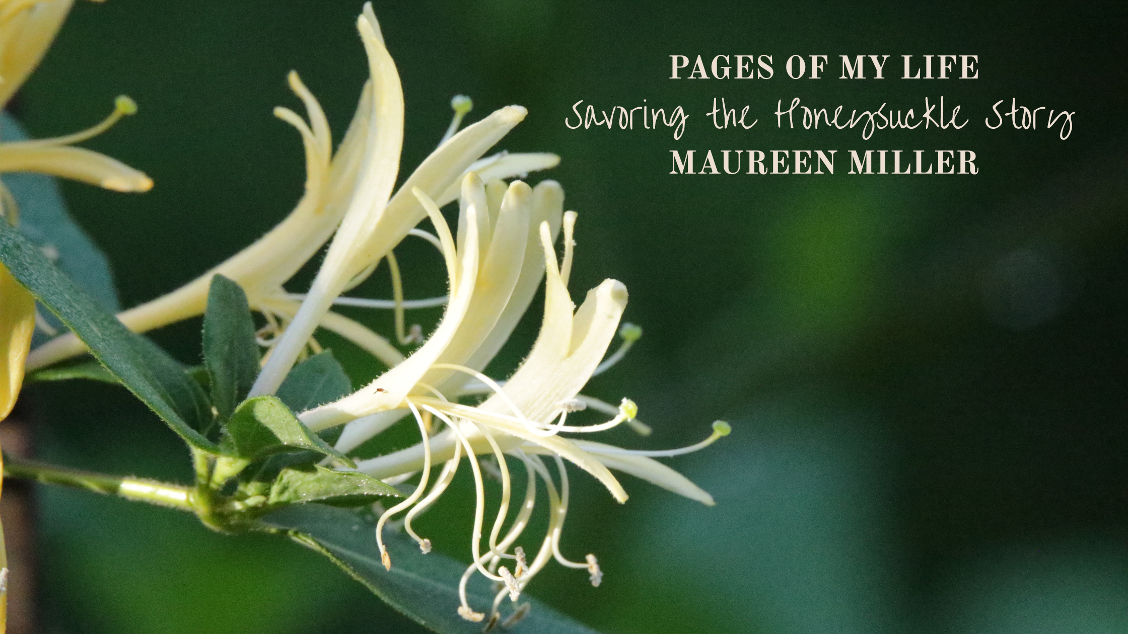 Pages of My Life