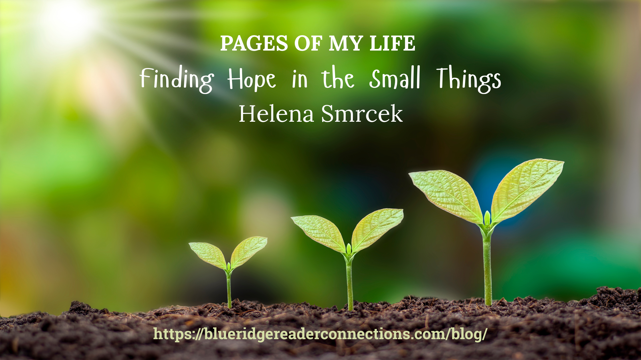Pages of My Life