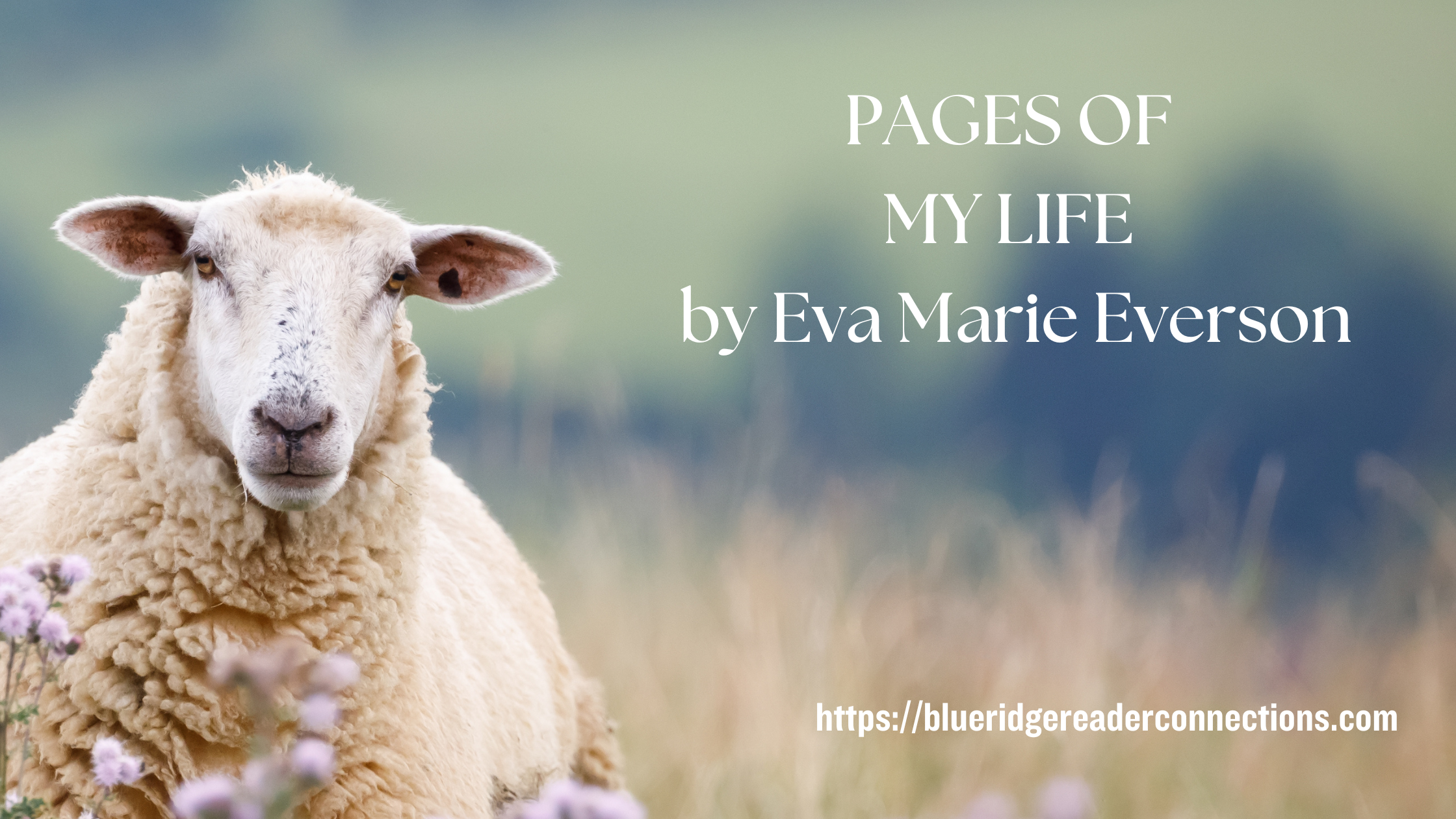 The Pages of My Life